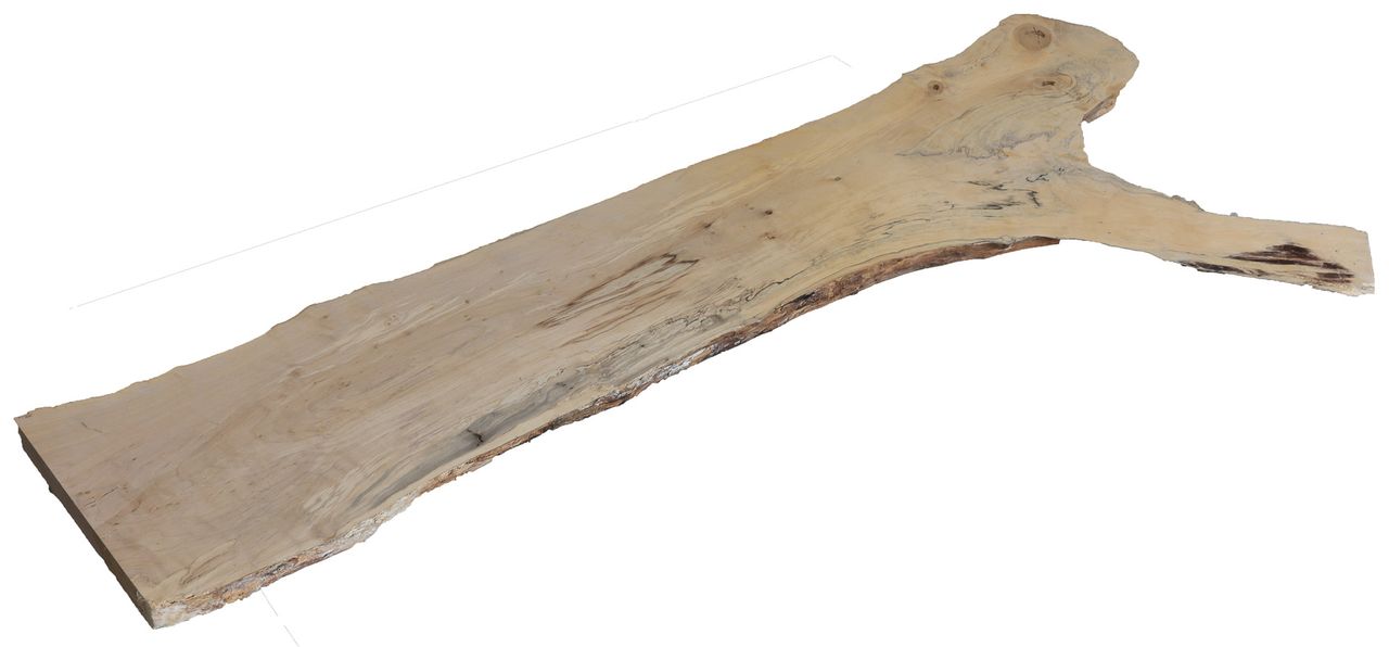 Birke Baumscheibe 1680x650x38mm