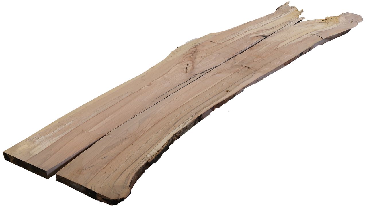 Buchen Bohle 2700x600x43mm