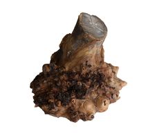 Ulmen Ast 200x250x200mm