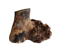 Ulmen Ast 200x250x200mm