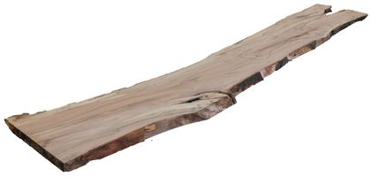 Buchen Bohle 3200x460x50mm